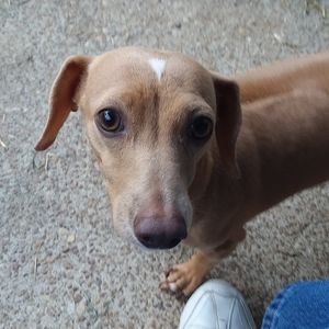 Meet your Posher, Janice